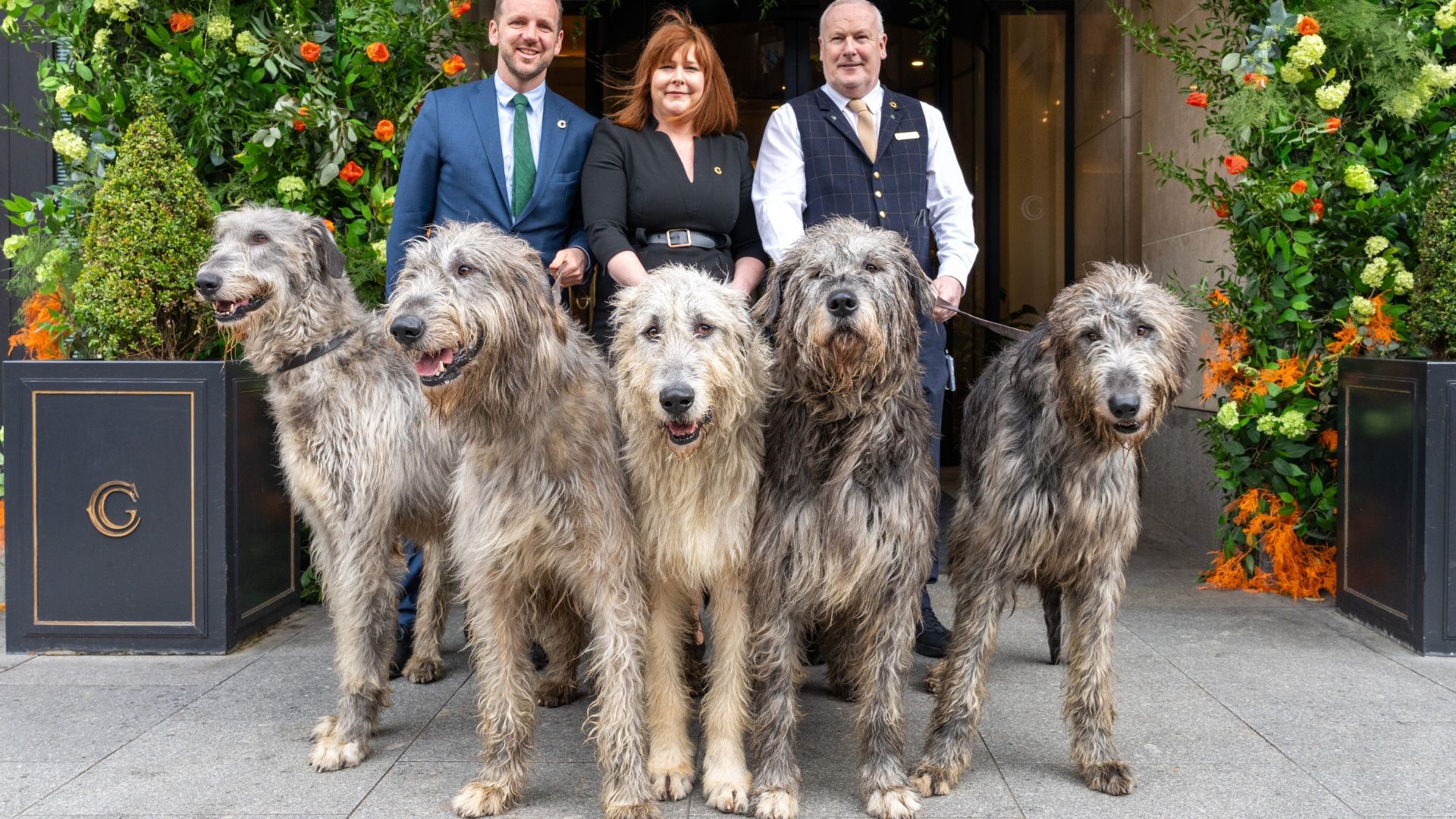 Untitled design(100)